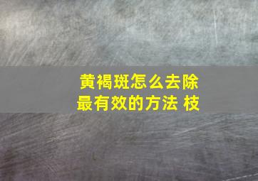 黄褐斑怎么去除最有效的方法 枝